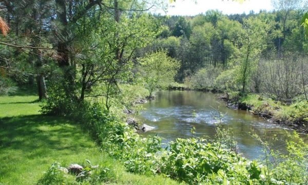 Camping Écologique de Frelighsburg - Frelighsburg - Cantons-de-l'Est