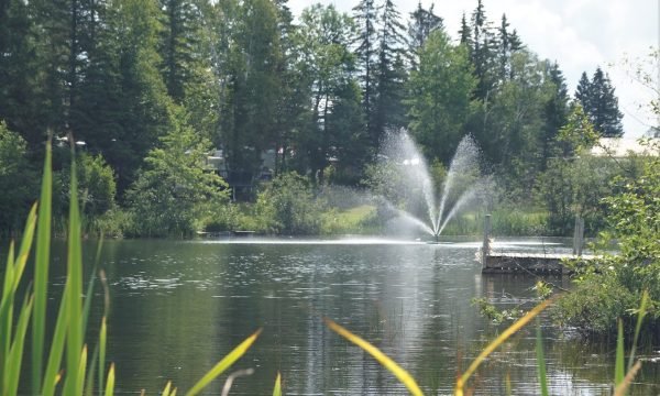 Camping Ste-Émélie - Sainte-Émélie-de-l'Énergie - Lanaudière