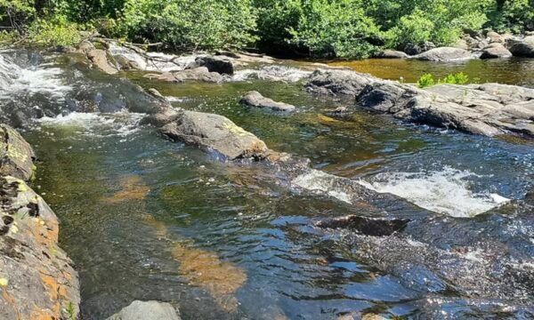 Camping Tendaro - La Malbaie - Charlevoix