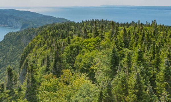 Cap Bon Ami - Parc national Forillon - Gaspésie