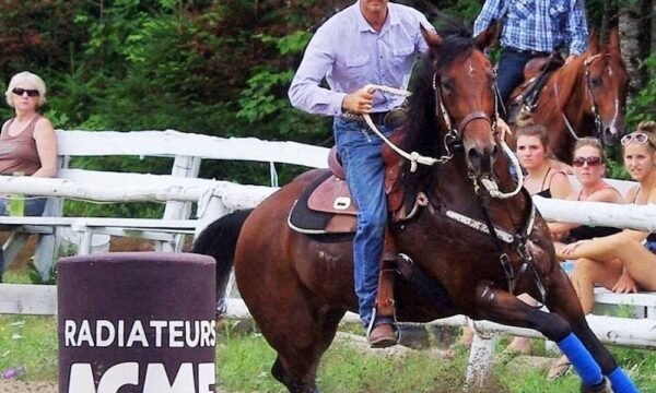 Centre Équestre Jessy Dufresne