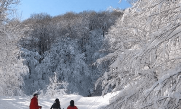 Centre de Ski de Fond Richmond Melbourne - Cantons-de-l'Est / Estrie
