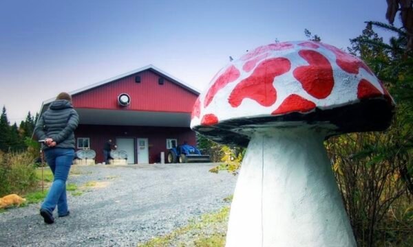 Champignons Charlevoix inc.