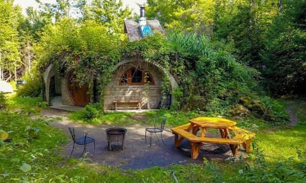 Entre Cîmes et Racines