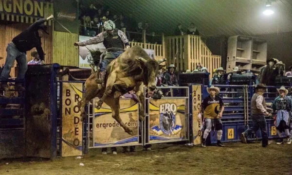 Équipe de Rodéo du Québec Chaudière-Appalaches - Thetford Mines
