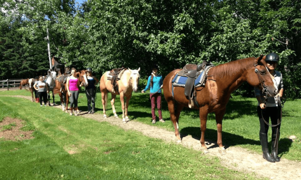Équitation DAWSON, Cantons-de-l'Est / Estrie, Orford