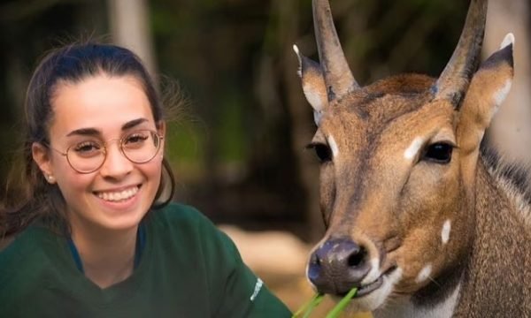 Familizoo-St-Calixte - Lanaudiere