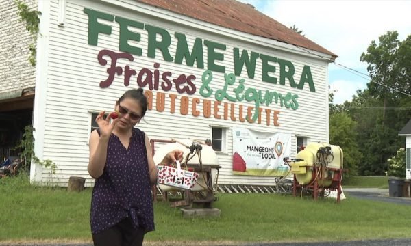 Ferme Wera Waterville - Cantons de lEst