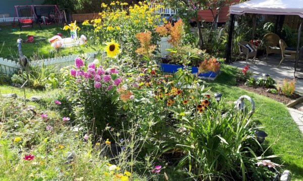 Gîte CoeurOrange - Destination Charlevoix