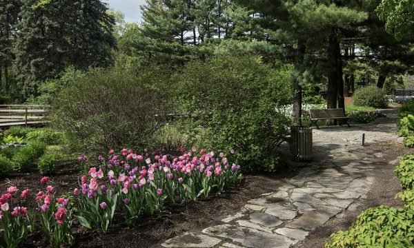 Jardins des Floralies-Montreal-Jean-Drapeau