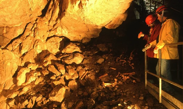 La Grotte de Saint-Elzéar-Destination Gaspésie