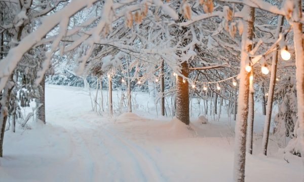 La p'tite forêt-Mont-Carmel-Mauricie