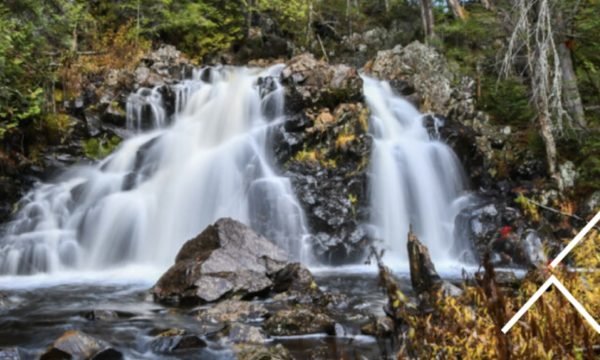 Le Centre accès à la nature de UQAM