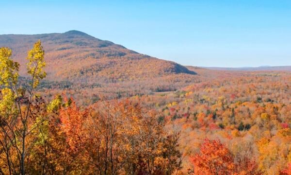 Le Mont Chauve - Cantons-de-l'Est / Estrie - Orford