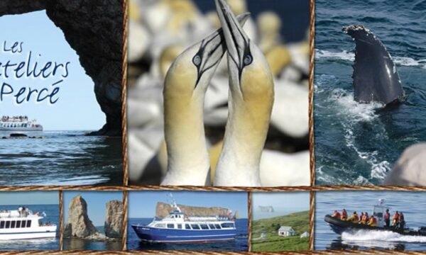 Les Bateliers de Percé Croisieres - Gaspésie