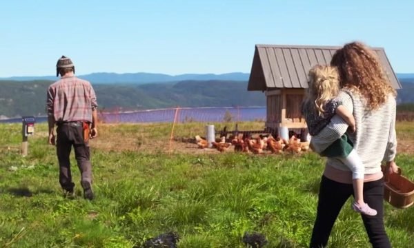Les Paysans du Fjord / Micro-ferme écologique