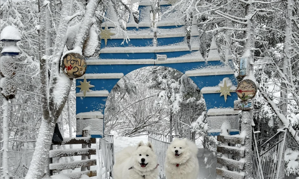 Les sentiers canins Leventoux - Sept-Iles - Destination Cote-Nord