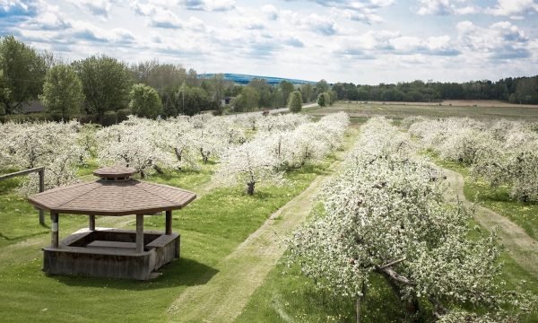 MRC des Jardins-de-Napierville