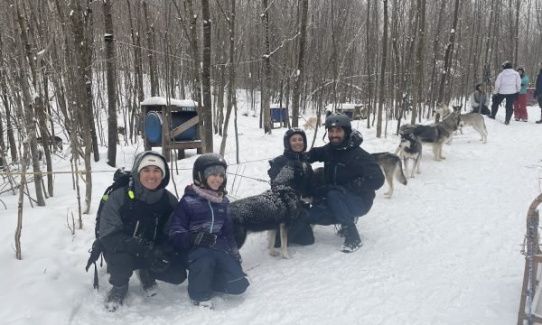 Meute Tanwen - Traîneau à chiens/Sled dogs, Outaouais, Montpellier