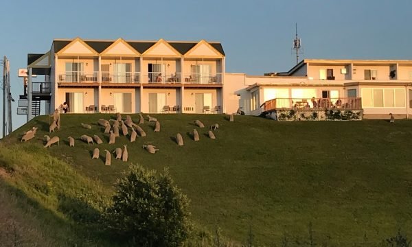 Mon Joli Motel-Ste-Flavie-Gaspésie