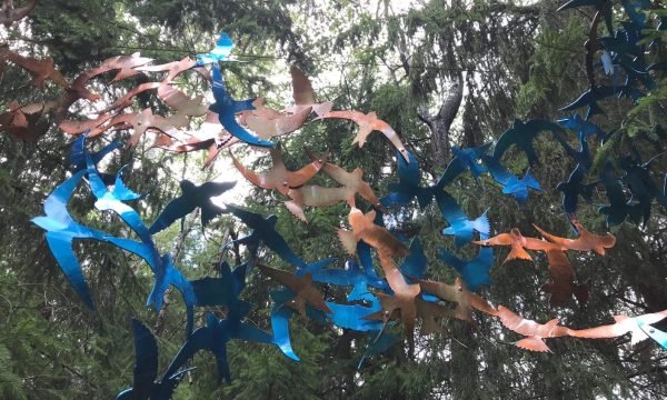 Mouvement ESSARTS Centre du Quebec