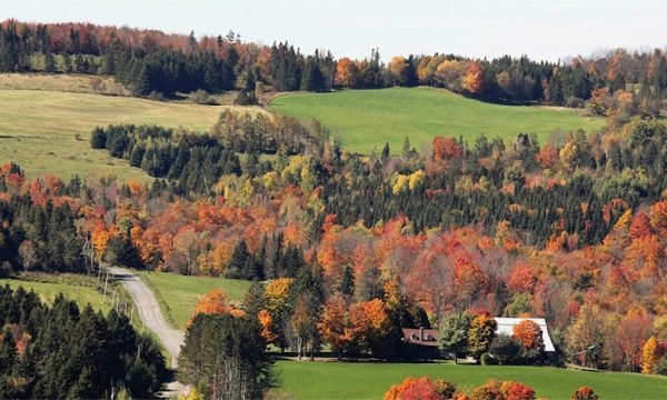 Municipalité Dixville-Cantons de l'Est