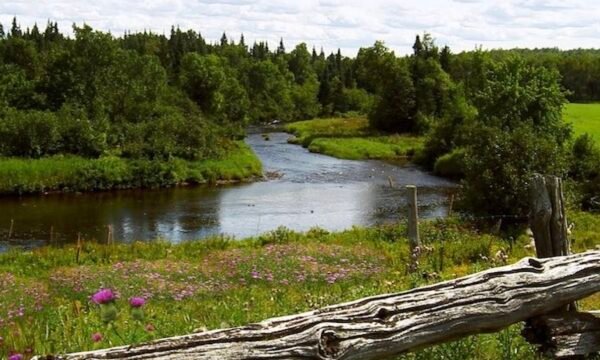 Municipalité Hampden - Cantons de l'Est