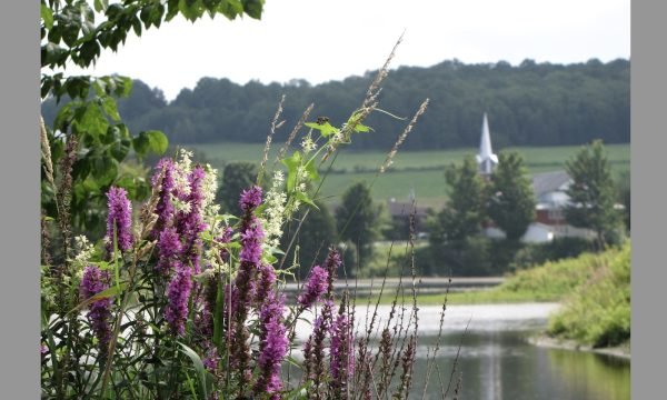 Municipalité Martinville-Cantons de l'Est