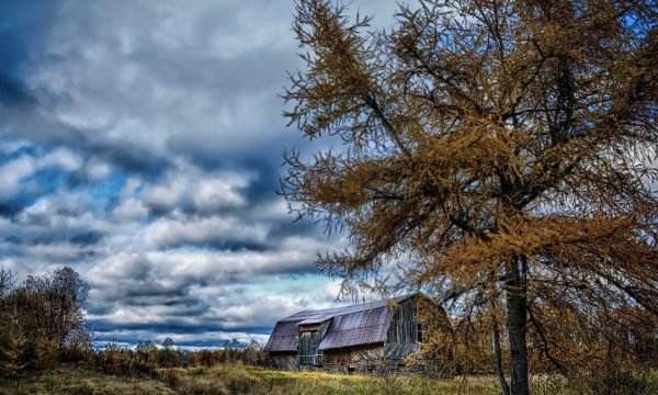 Municipalité Sainte-Gertrude-Manneville