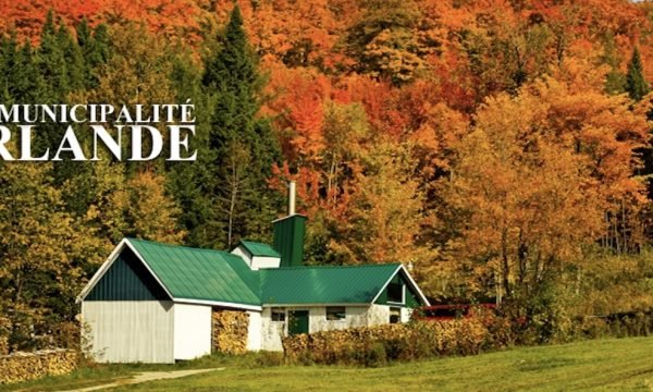 Municipalité d'Irlande