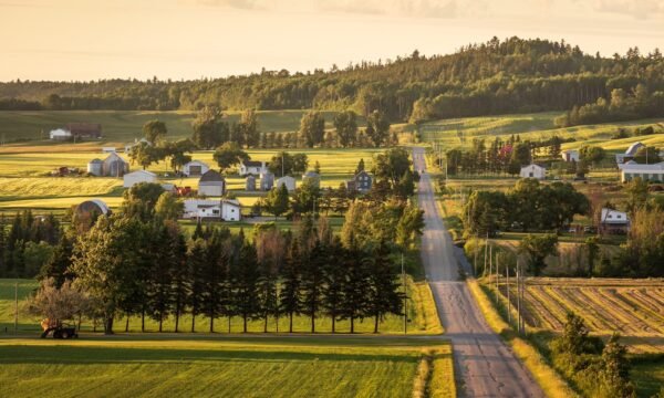 Municipalité de Duhamel-Ouest - Abitibi-Témiscamingue