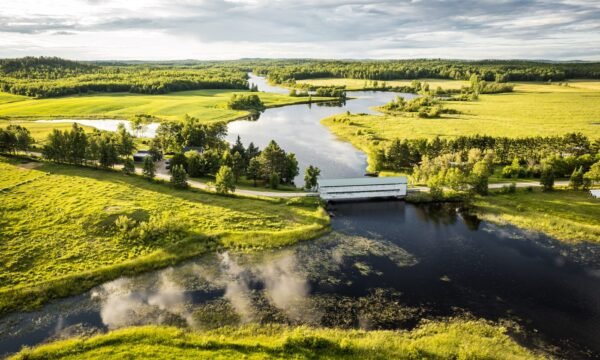 Municipalité de Latulipe-et-Gaboury-Abitibi-Témiscamingue