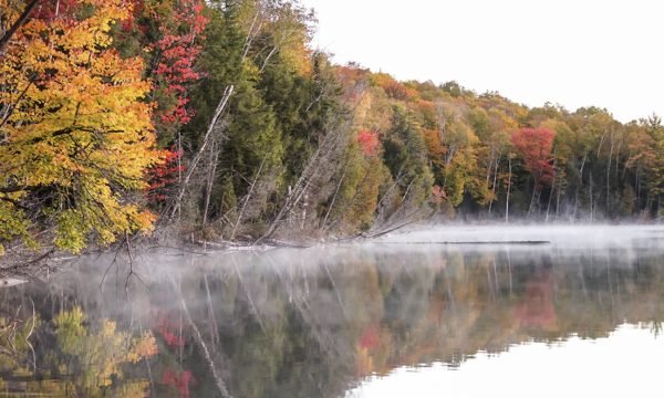 Municipalité de Mandeville-Lanaudiere