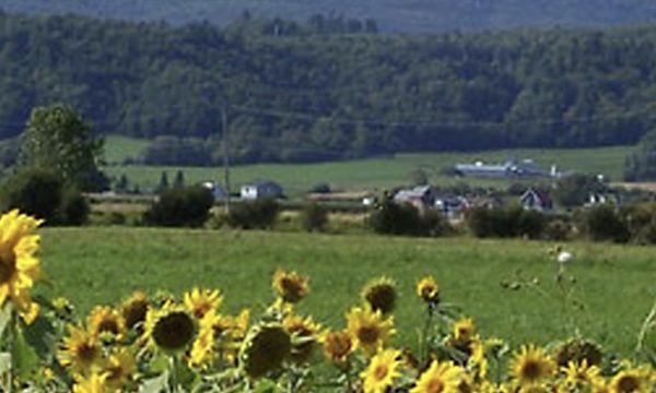 Municipalité de Saint-Joachim