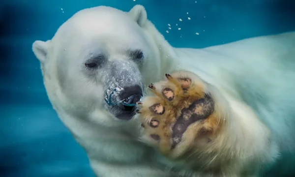 Parc Aquarium du Québec (Sépaq)