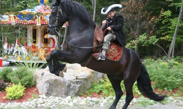 Parc Cavaland, Laurentides - Sainte-Marguerite-du-Lac-Masson
