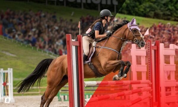 Parc Équestre Olympique de Bromont - Cantons-de-l'Est / Estrie