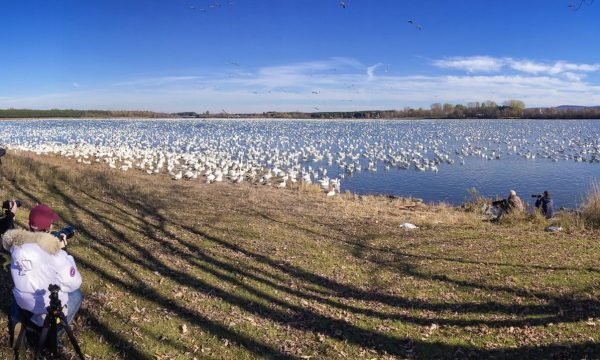 Parc du Réservoir-Beaudet-Centre-du-Quebec
