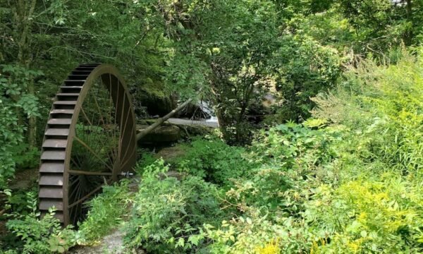 Parc du Vieux Moulin - Cantons-de-l'Est / Estrie - Weedon