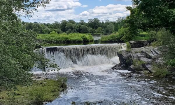 Parc du Vieux-Moulin de Martinville