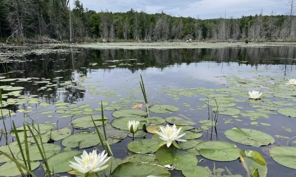 Parc régional de Kilkenny - Lanaudiere