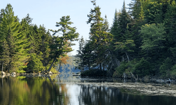 Parc riverain de la Sainte-Anne