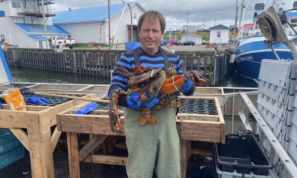 Pêcheries Bertrand Desbois-Matane