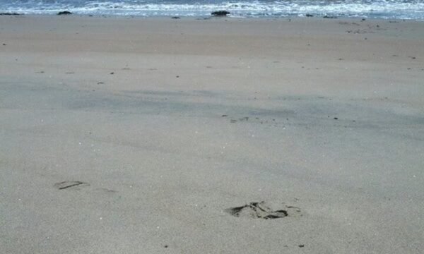 Plage Monaghan - Sept-Îles