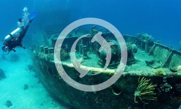 Plongée Aqua-Mundo - Cantons-de-l'Est / Estrie - Sherbrooke