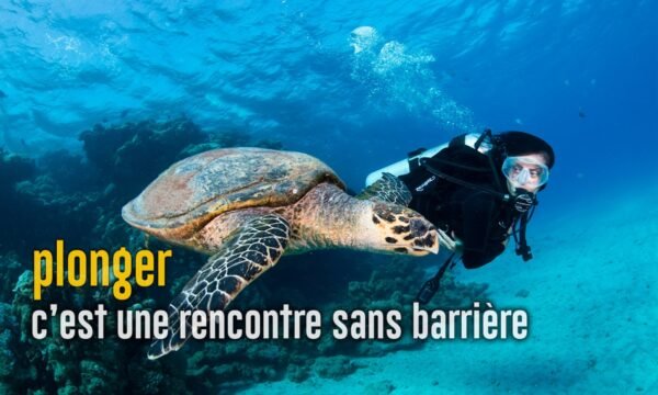 Plongée Capitale, Capitale-Nationale, Québec