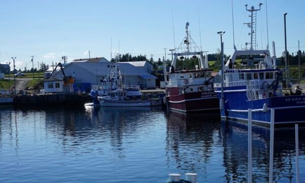 Quai Sainte-Thérèse-de-Gaspé - Gaspesie