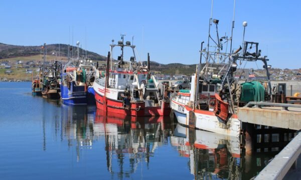 Quai Shigawake - Gaspésie