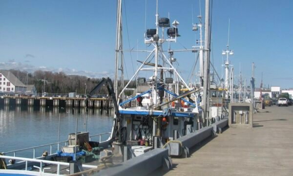 Quai de Paspébiac - Destination Gaspésie