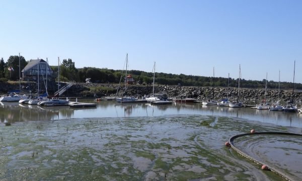 Quai de Saint-Jean-Port-Joli-Chaudiere-Appalaches